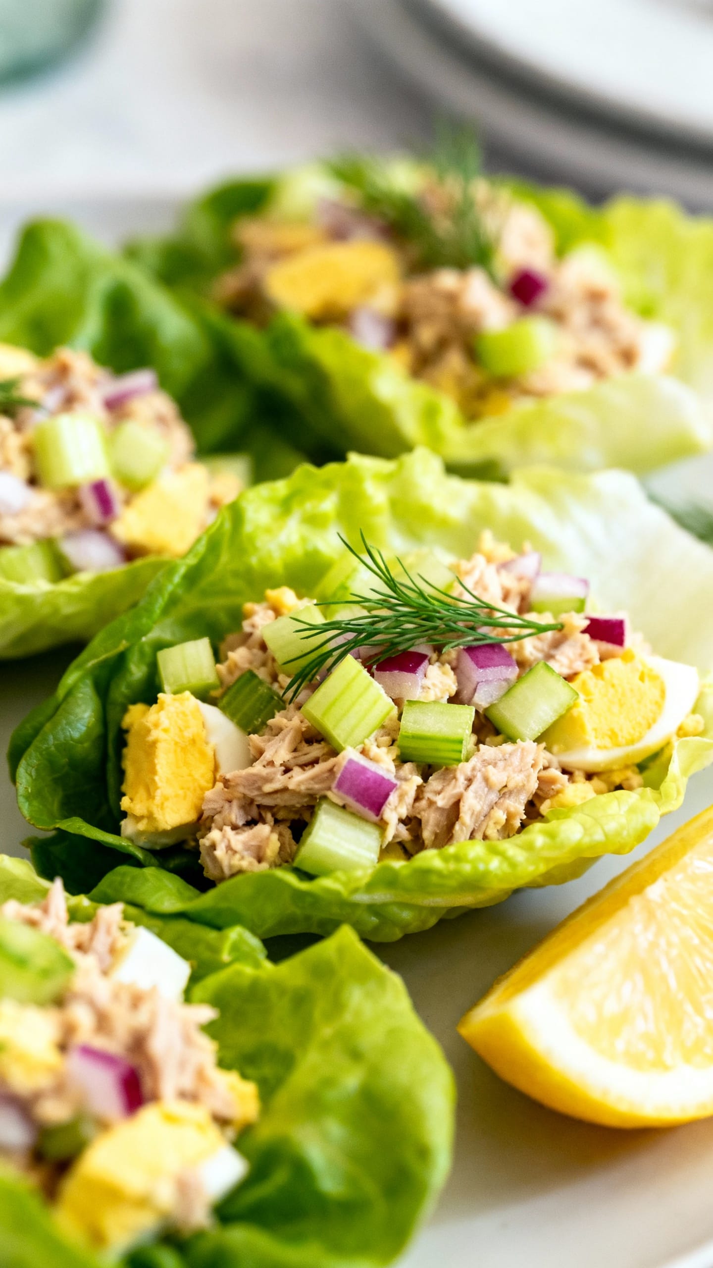 Closeup tuna egg salad in lettuce boats, diced celery, red onion, dill, lemon wedge, crisp texture